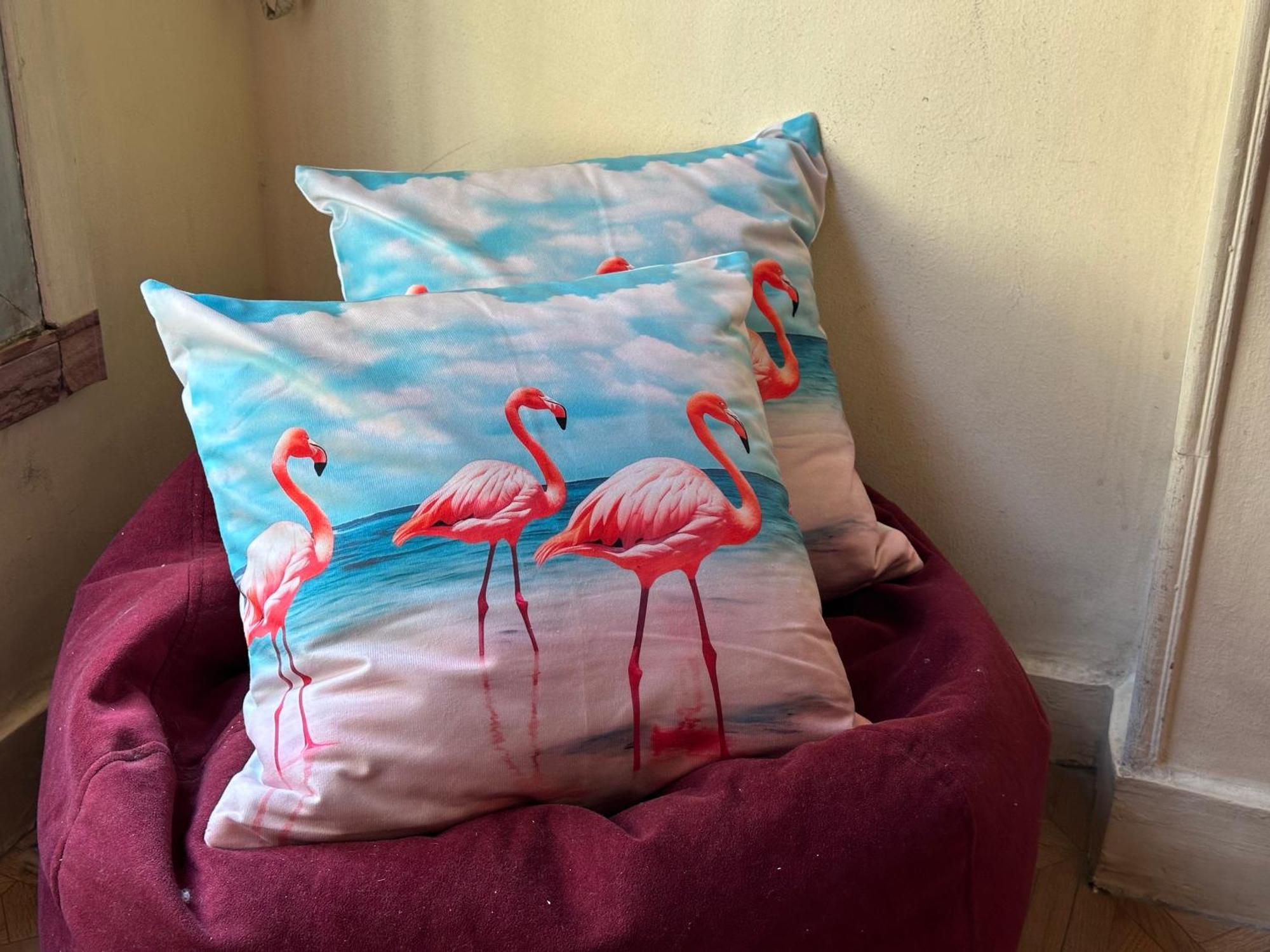 Flamingo 5 Stars Cozy Room - With Ac 开罗 外观 照片